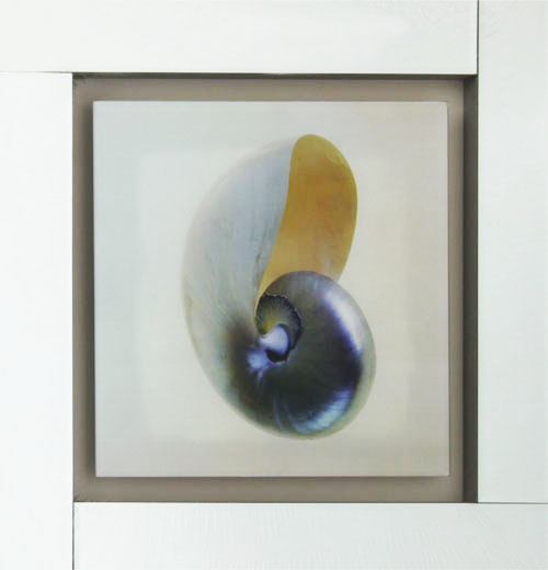 kxjzk-08 59.5x59.5 0.038-2pcs (6)